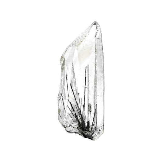 Starborn Clear Quartz Crystal with Black Rutile Collector's Specimen 20.5g- 1 piece