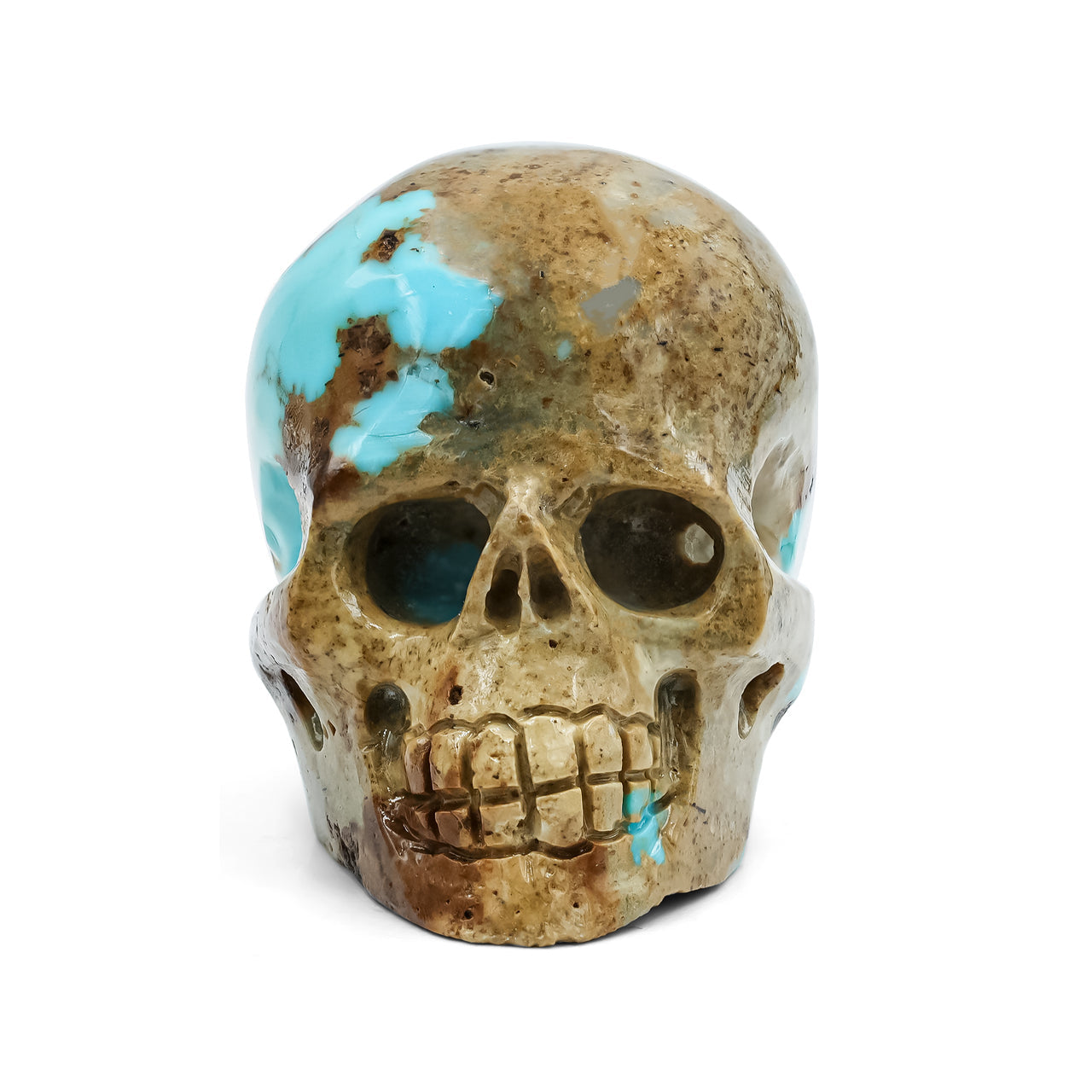 Starborn Hand Carved Patagonia Turquoise Skull (172.5ct) - 1 Piece