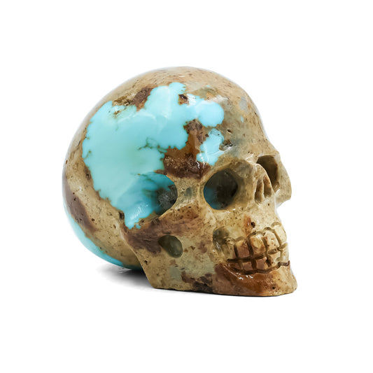 Starborn Hand Carved Patagonia Turquoise Skull (172.5ct) - 1 Piece