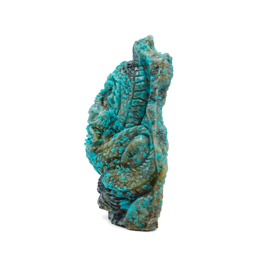 Starborn Hand Carved New Arizona Turquoise Dragon (496.5ct) - 1 Piece