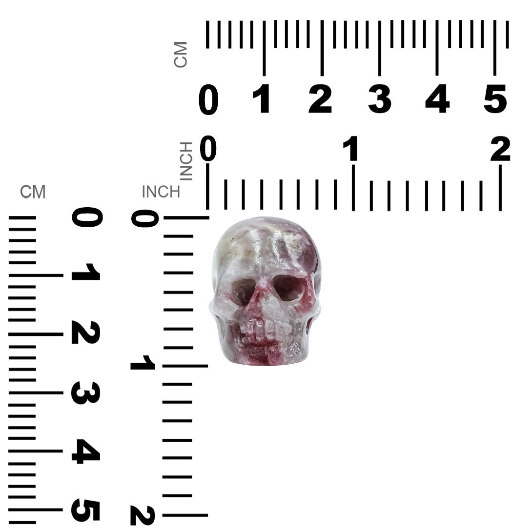Starborn Carved Rubellite Tourmaline Skull from Paraiba 130ct - 1 Piece