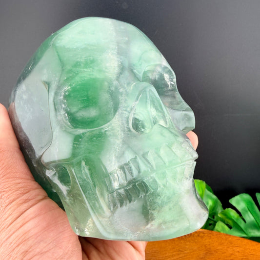 Green Rainbow Fluorite Skull