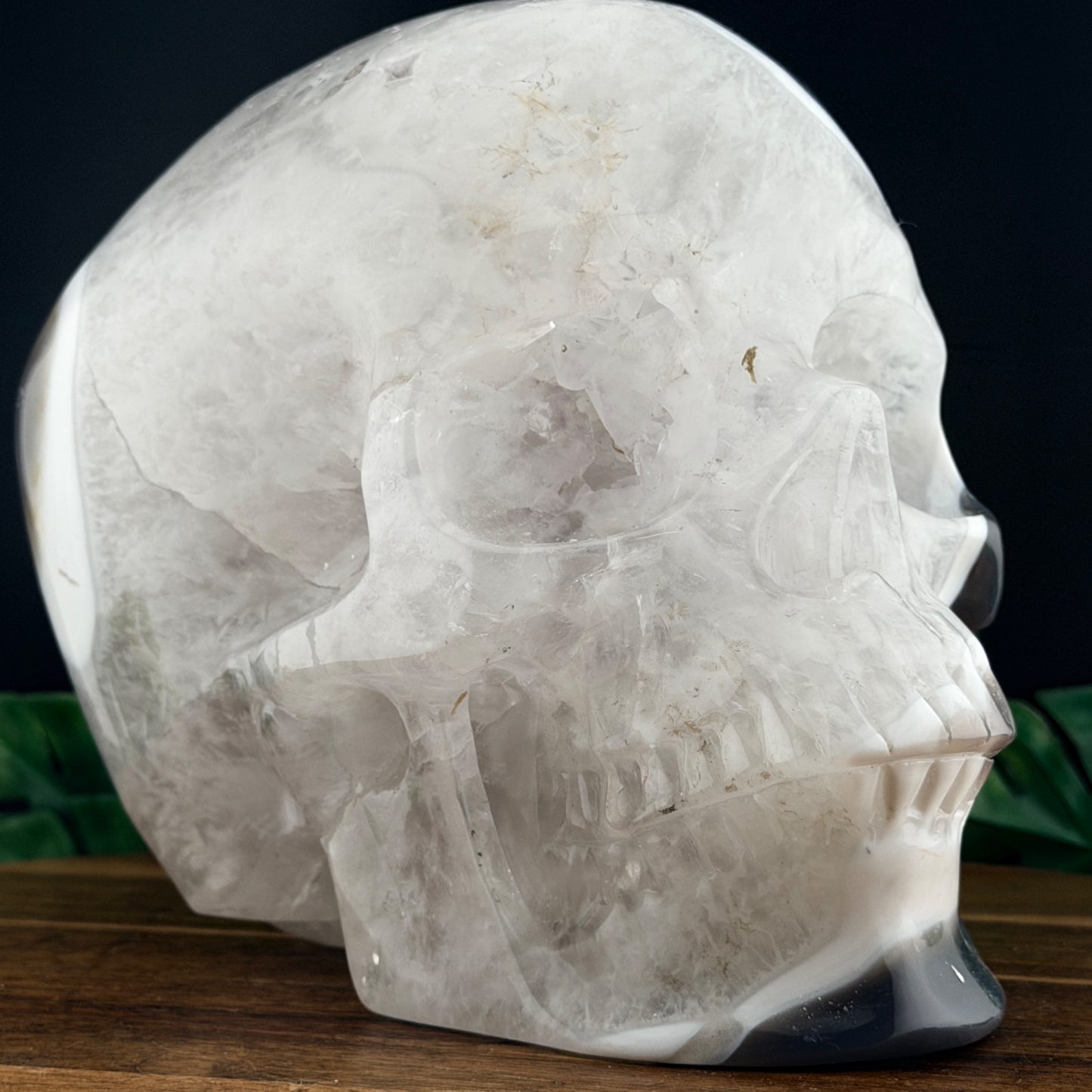 Druzy Agate with Quartz  XL Skull