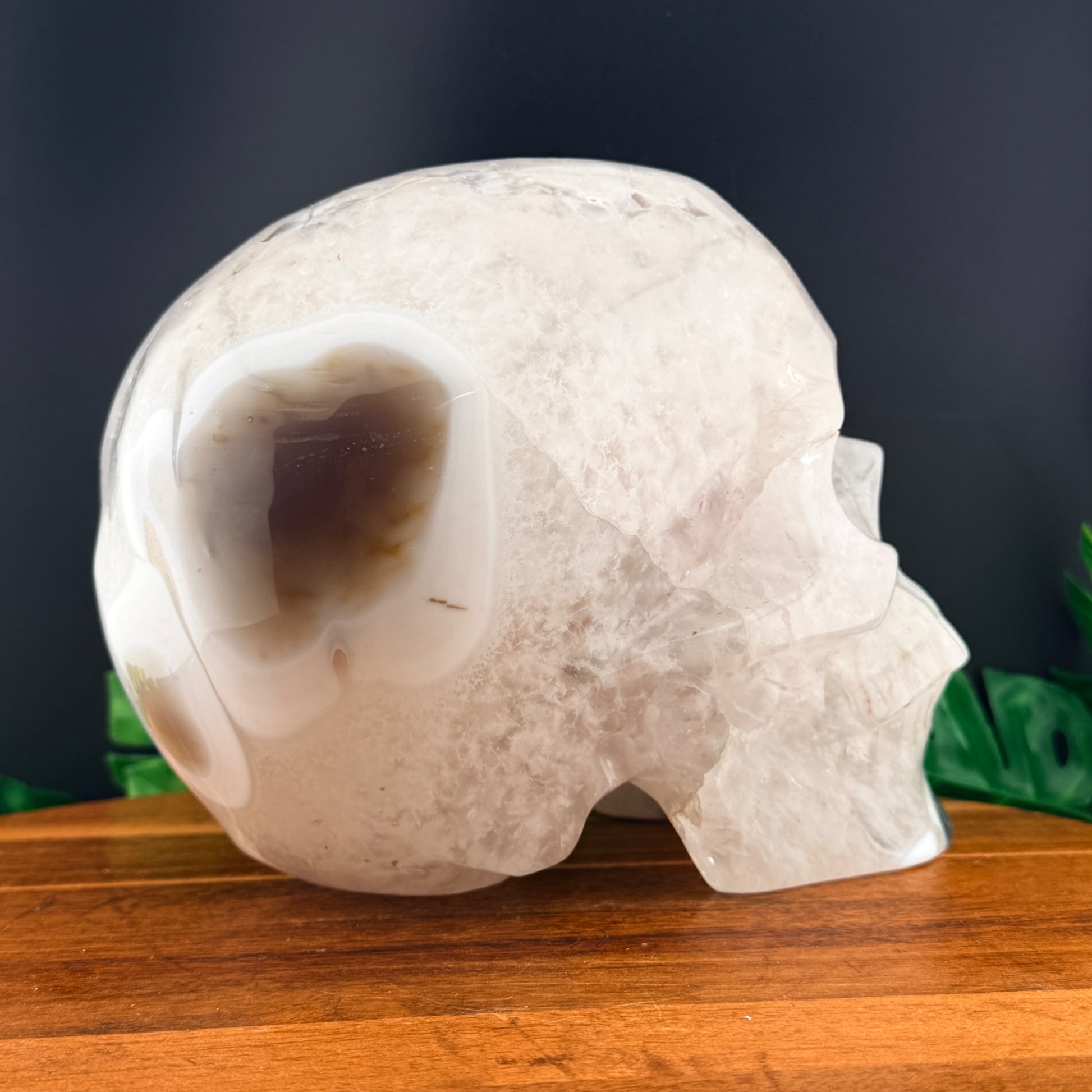 Druzy Agate with Quartz  XL Skull