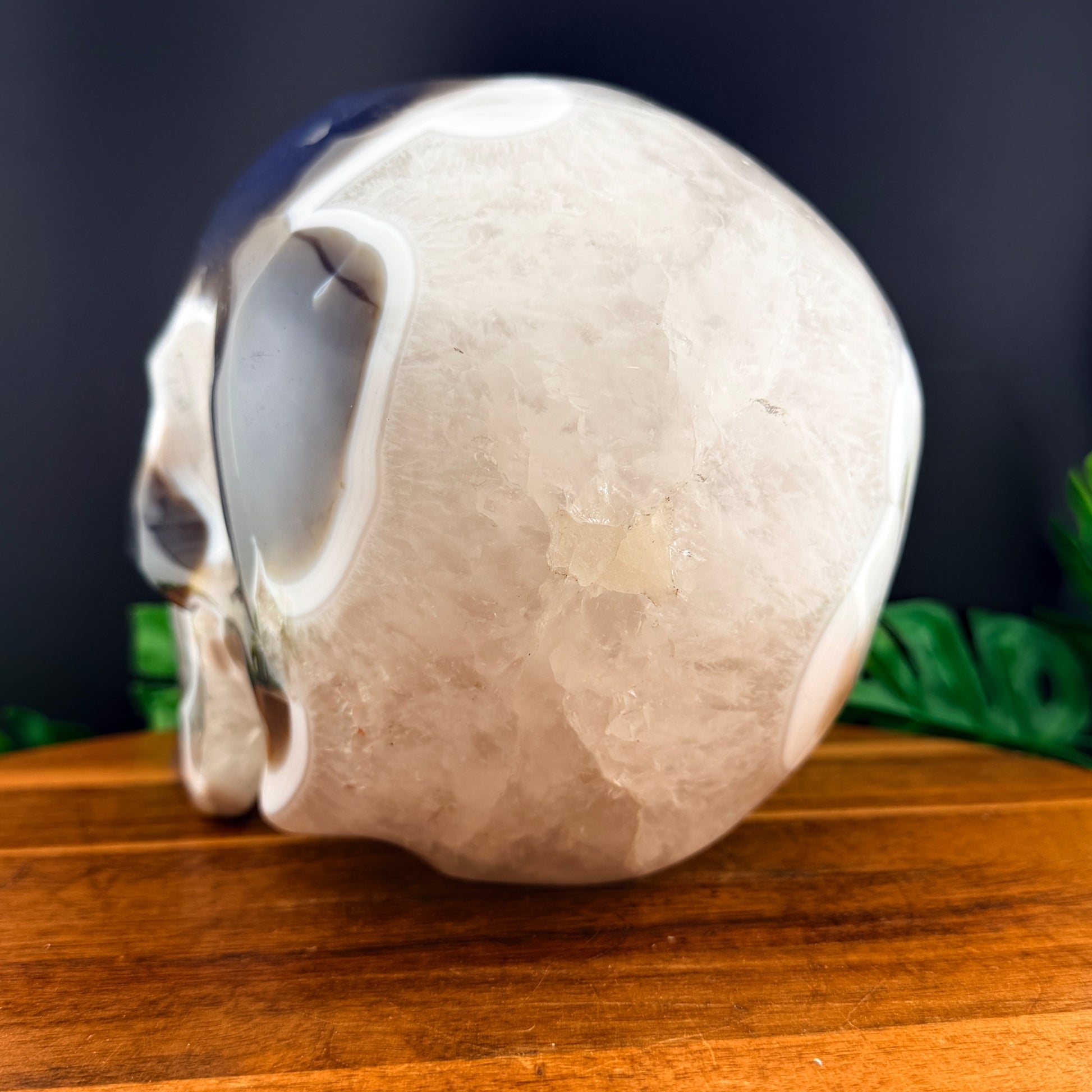Druzy Agate with Quartz  XL Skull