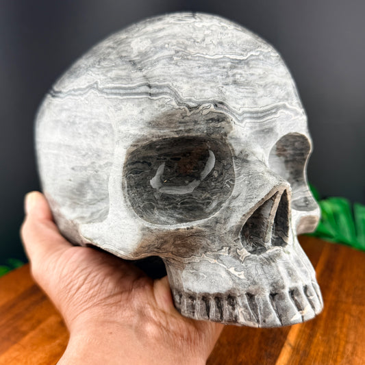 XL Red Line Jasper Jawless Skull