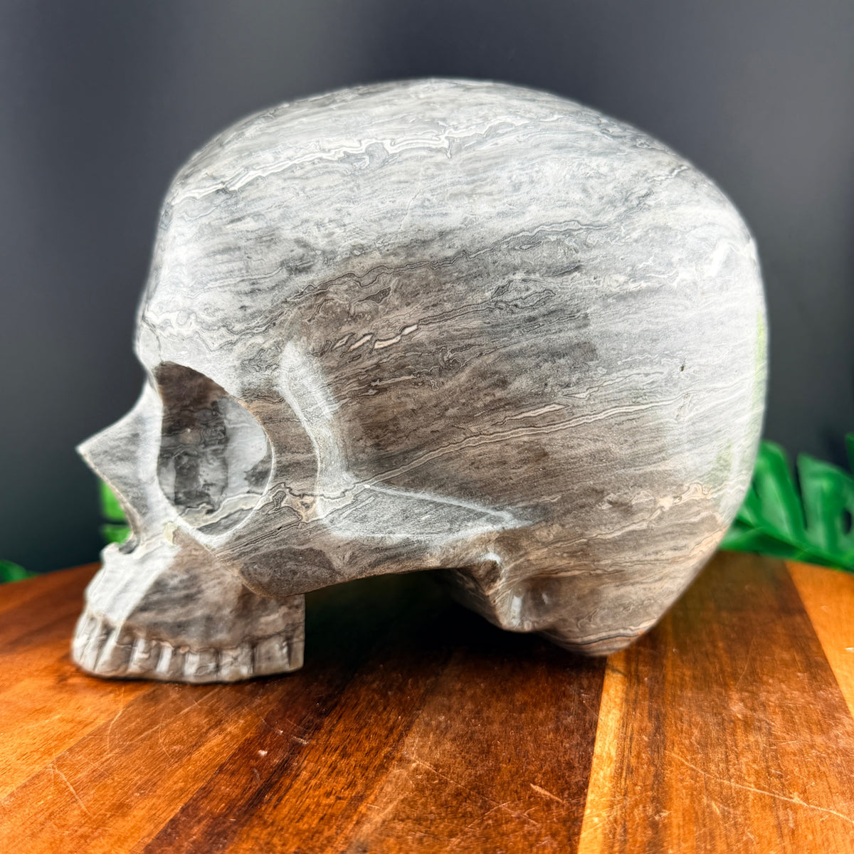 XL Red Line Jasper Jawless Skull
