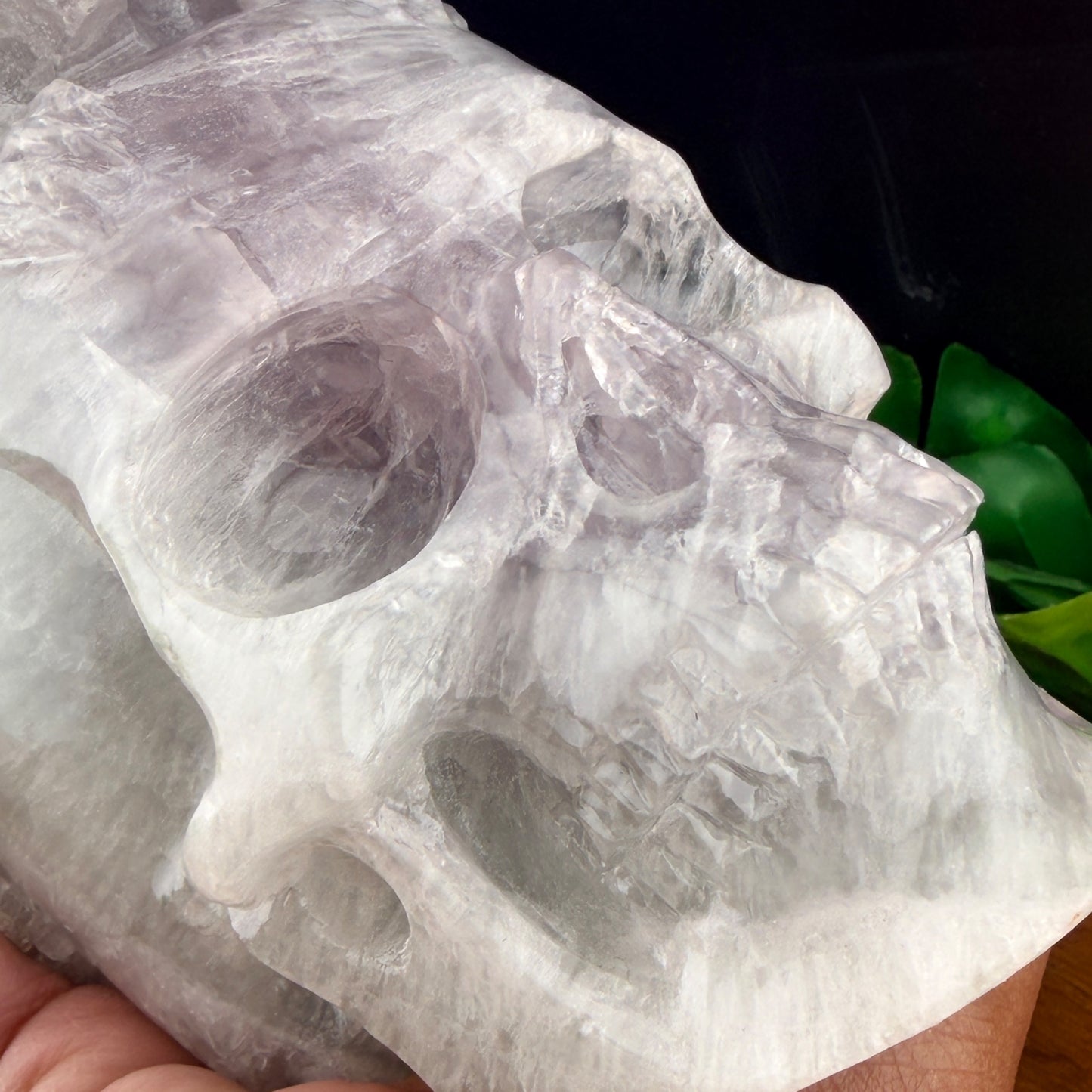 Yttrium Fluorite Dragon on Skull