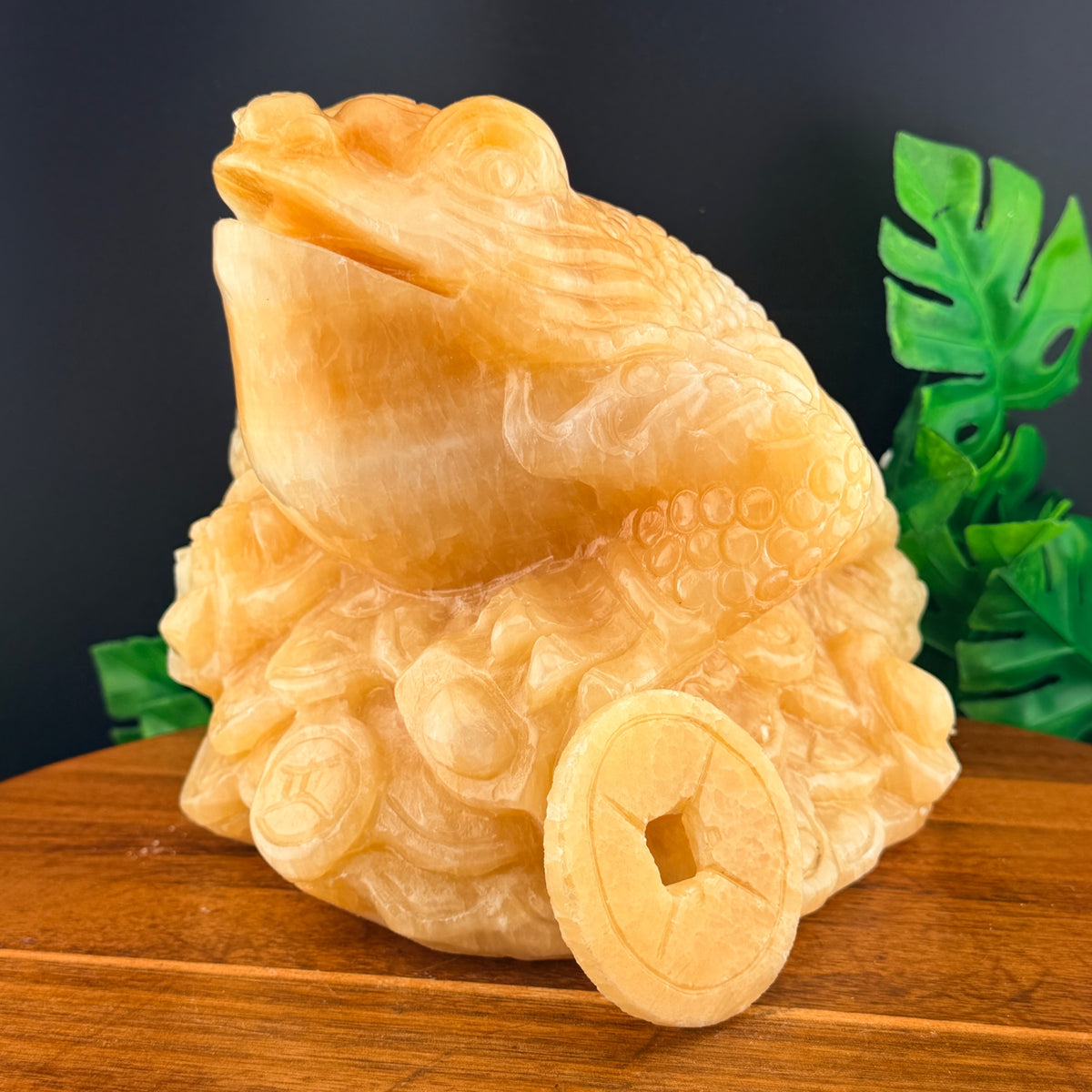 XL Orange Calcite Money Toad