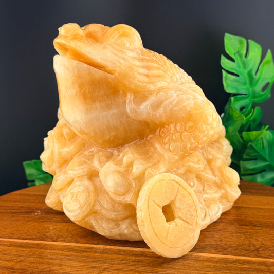XL Orange Calcite Money Toad