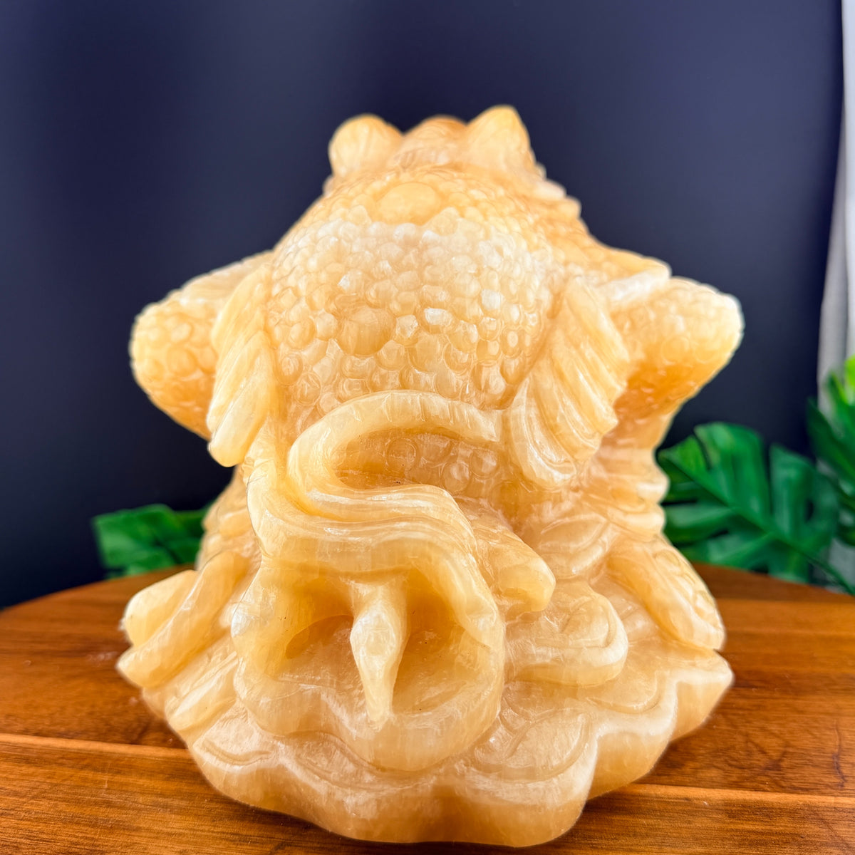 XL Orange Calcite Money Toad