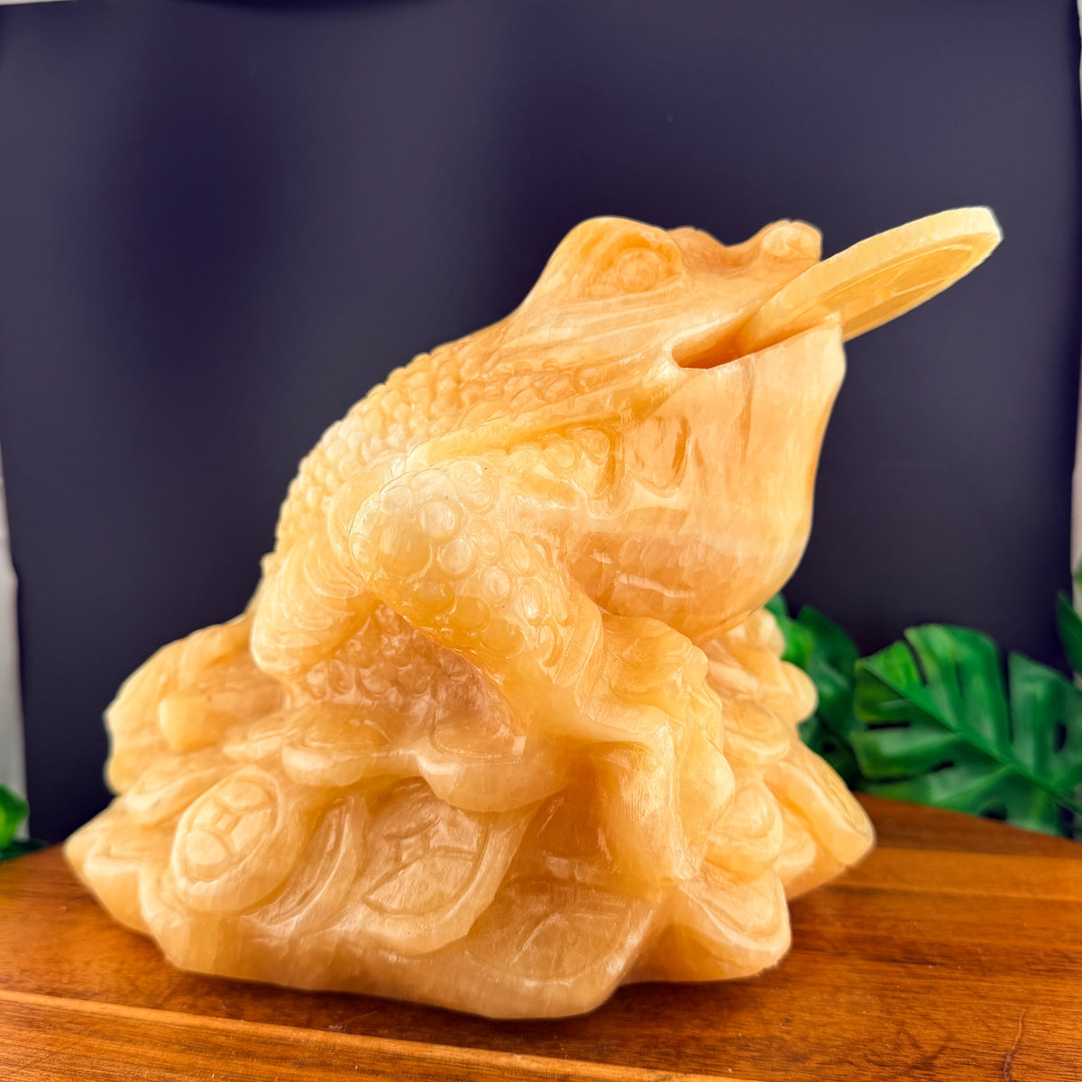 XL Orange Calcite Money Toad