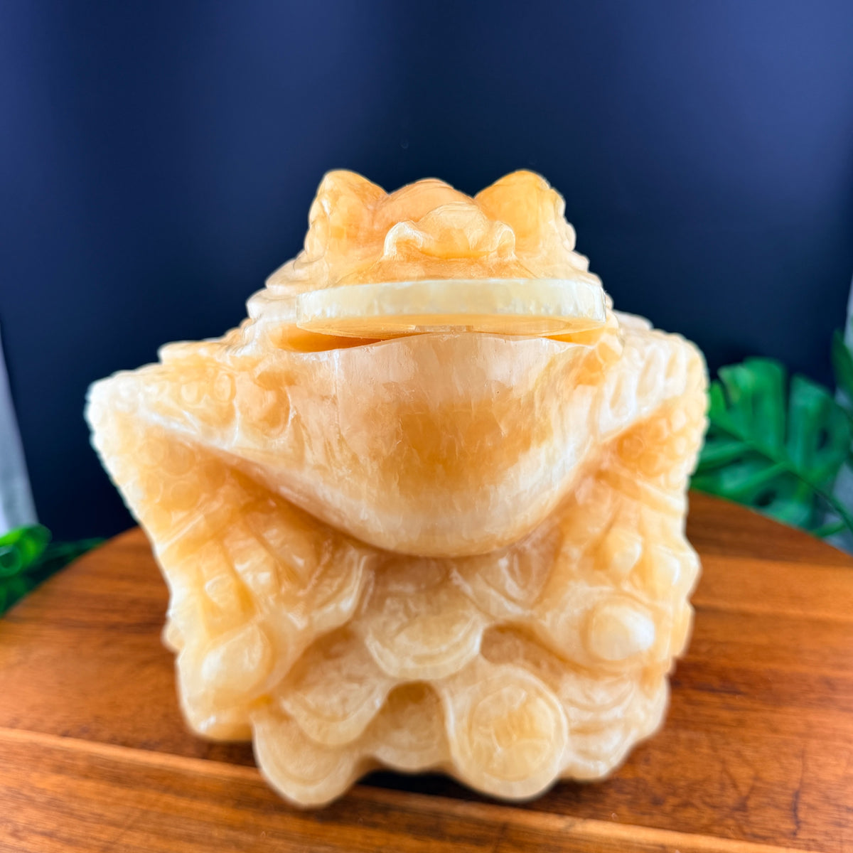 XL Orange Calcite Money Toad