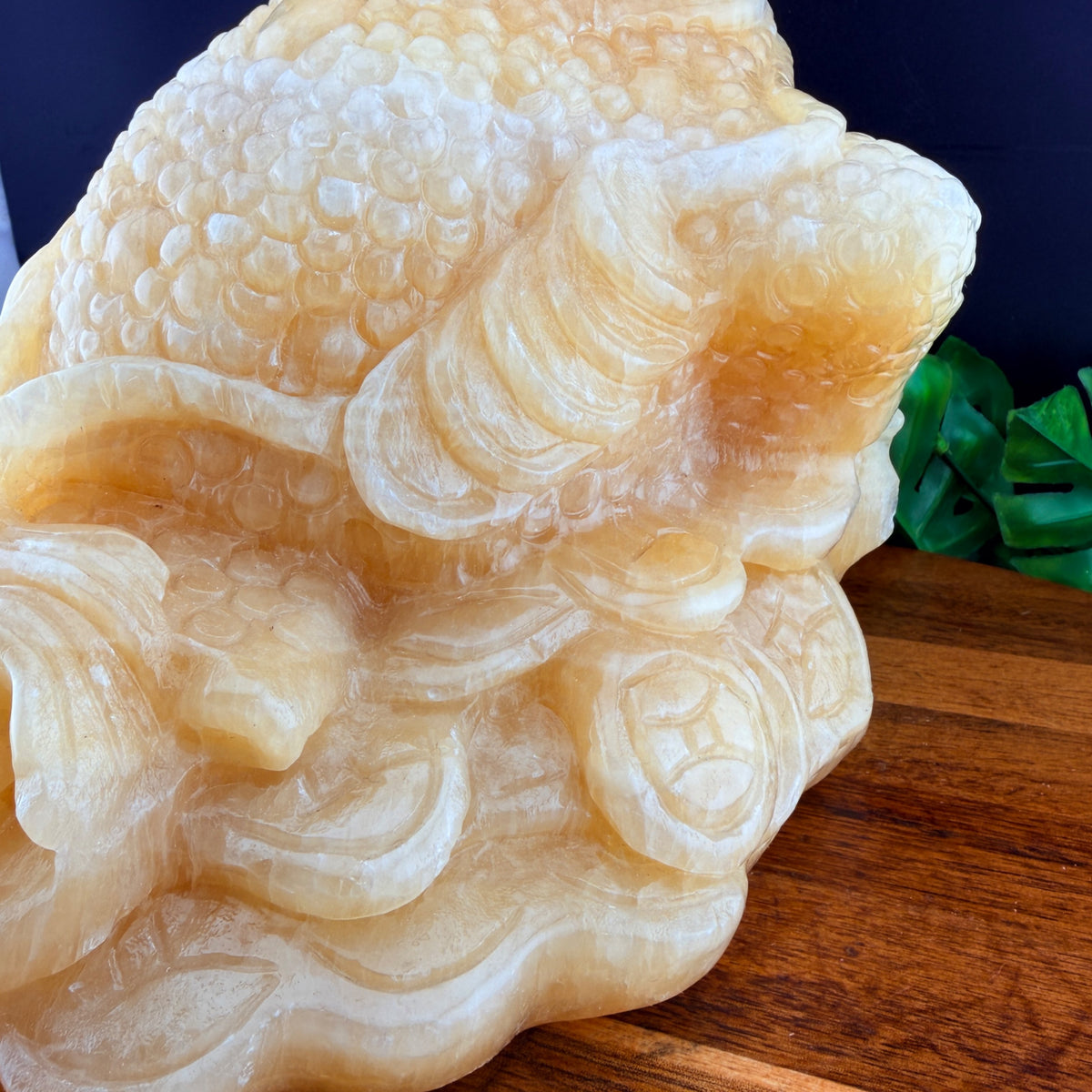 XL Orange Calcite Money Toad
