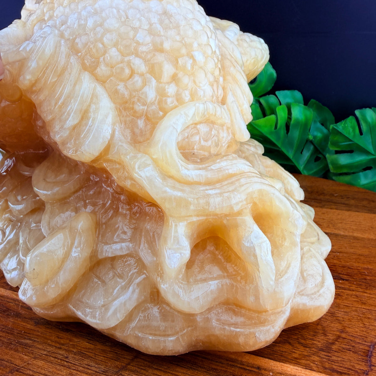 XL Orange Calcite Money Toad