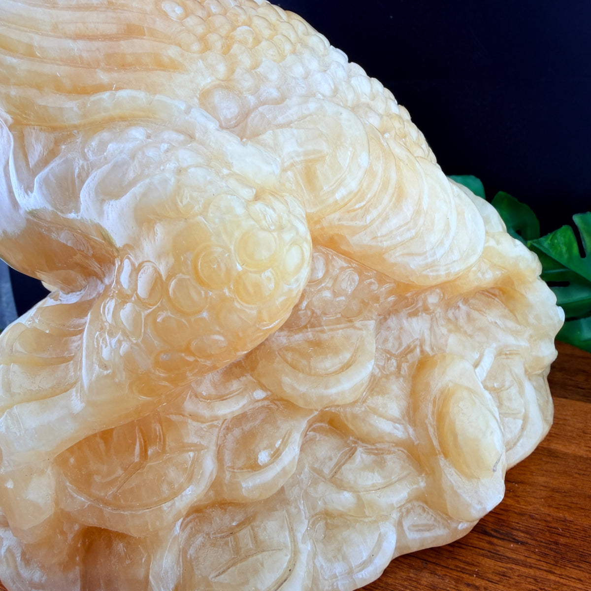 XL Orange Calcite Money Toad