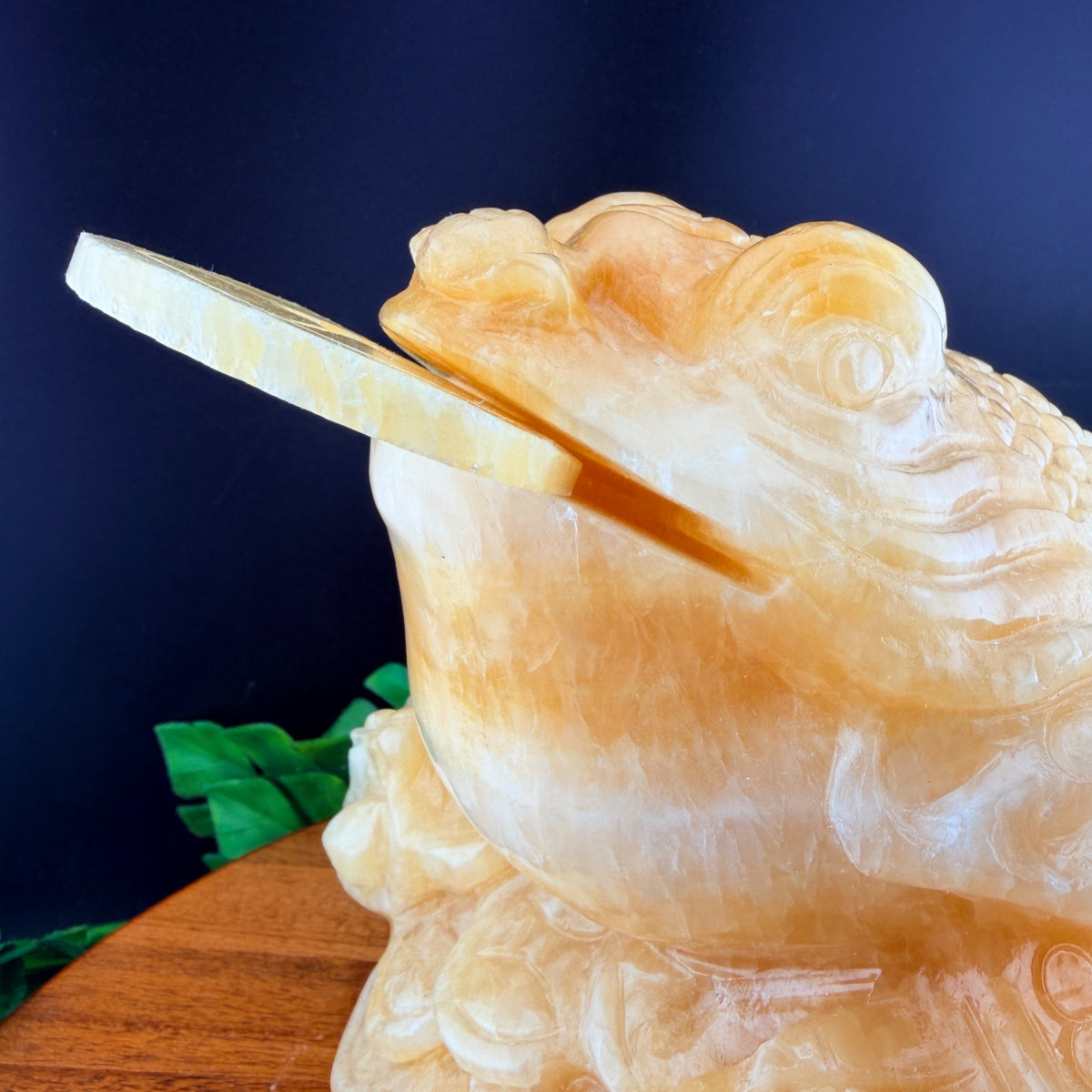 XL Orange Calcite Money Toad