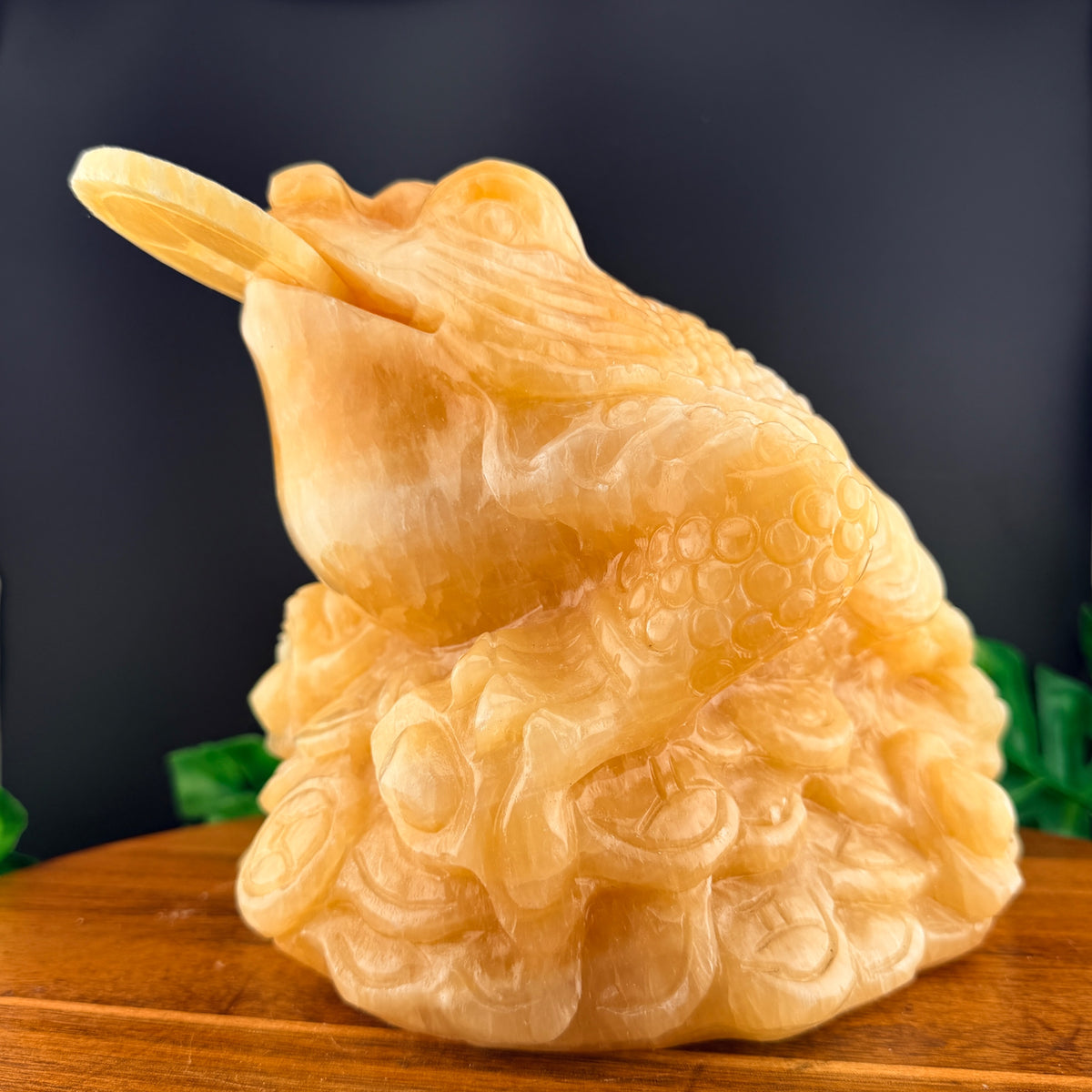 XL Orange Calcite Money Toad