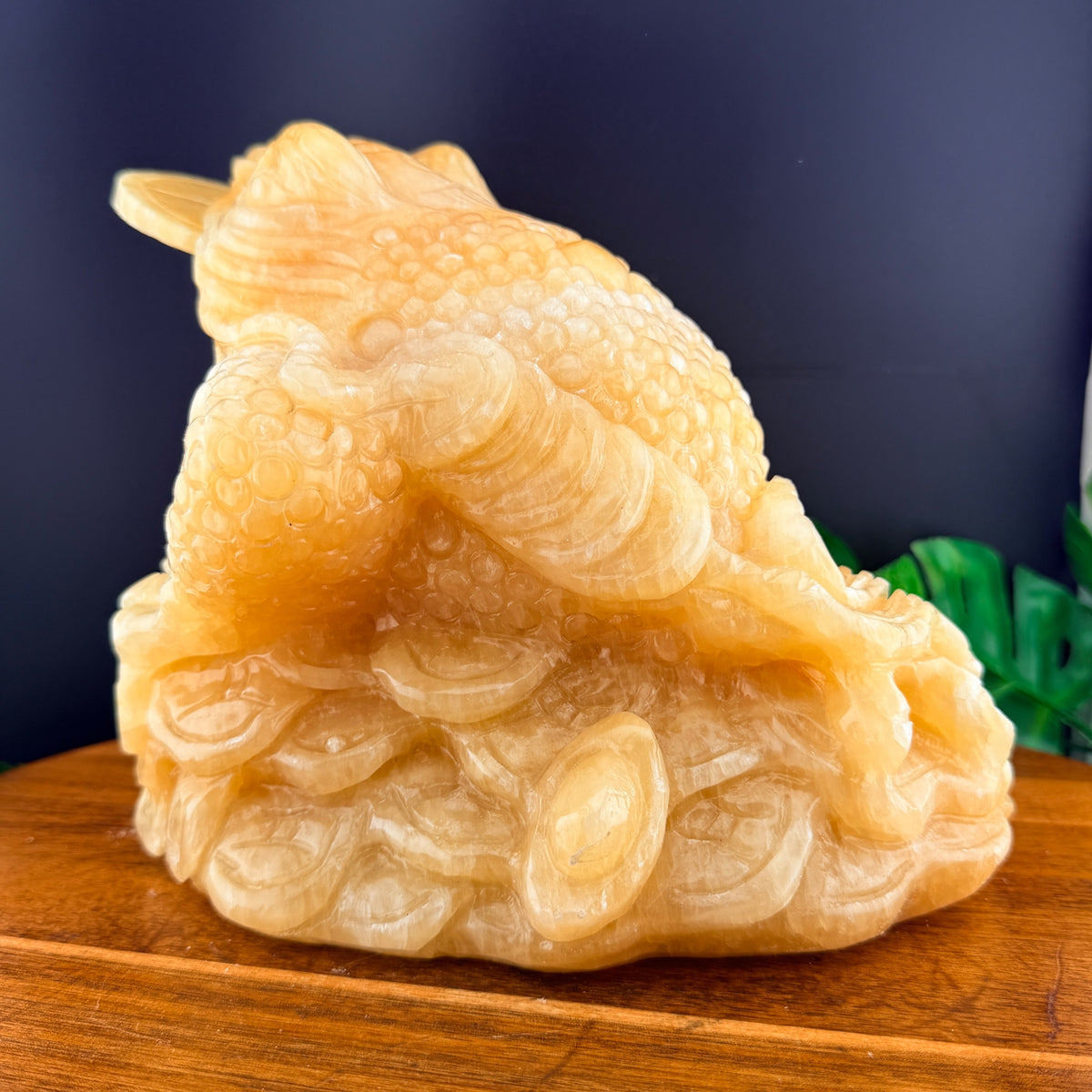 XL Orange Calcite Money Toad