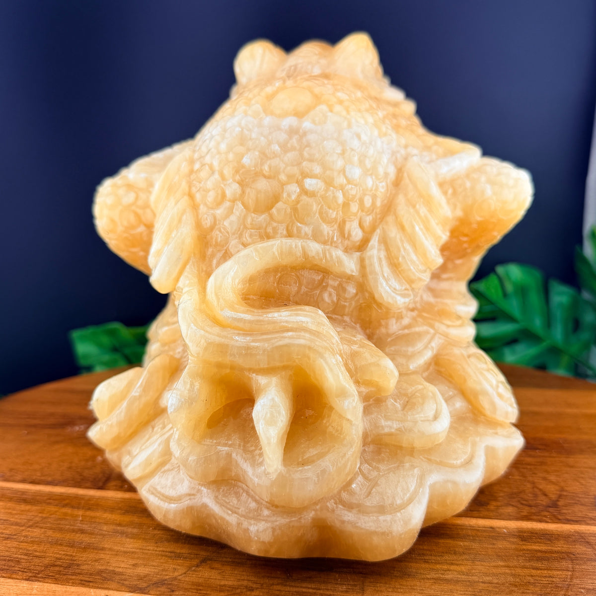 XL Orange Calcite Money Toad