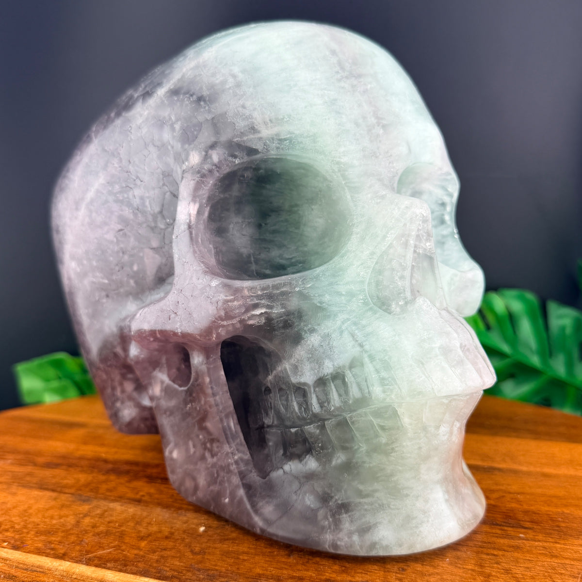 XL Rainbow Fluorite Skull