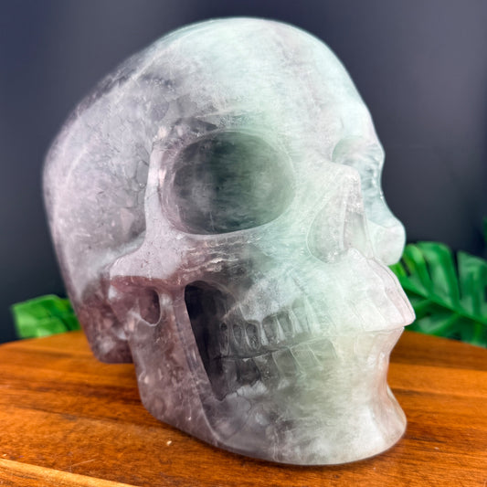 XL Rainbow Fluorite Skull