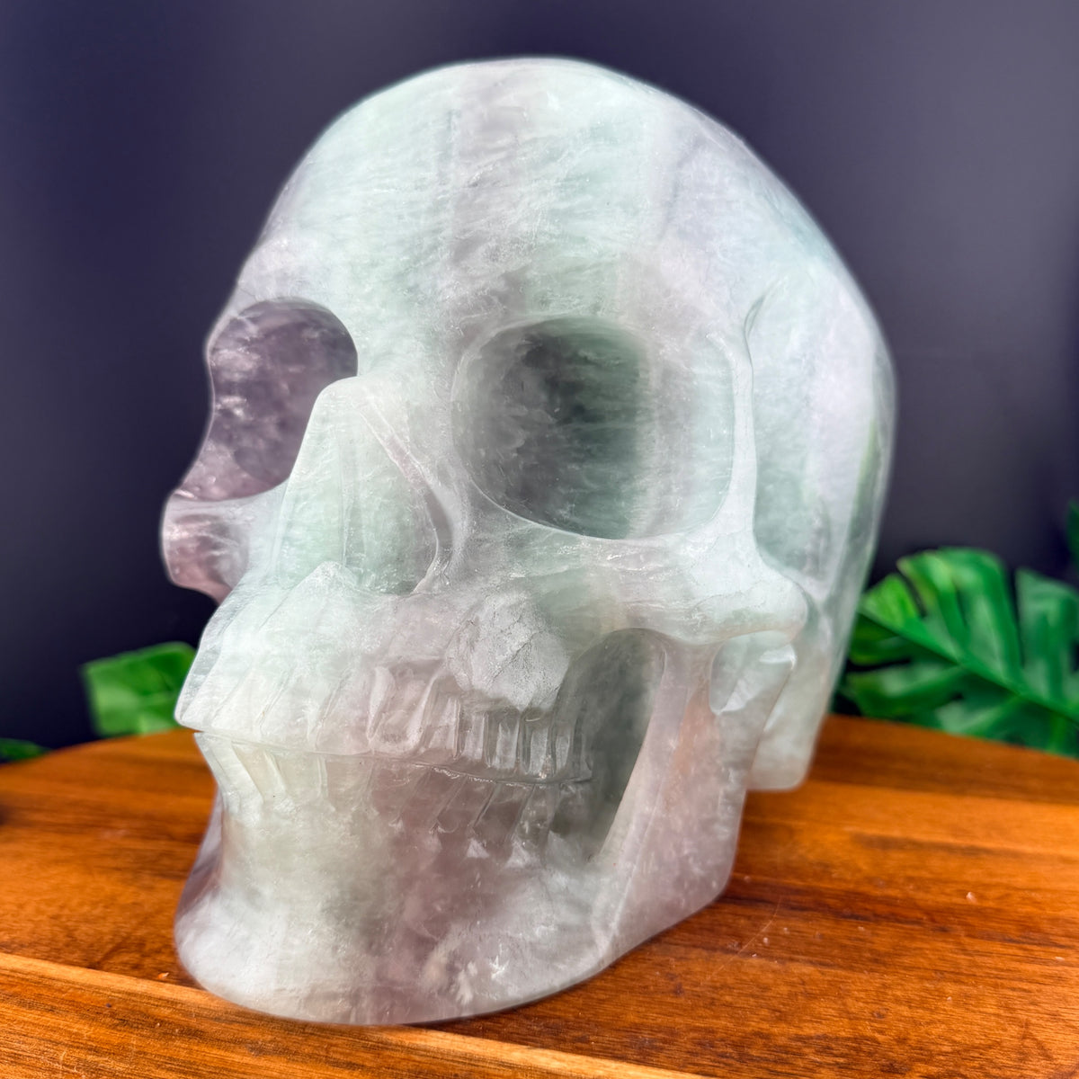 XL Rainbow Fluorite Skull