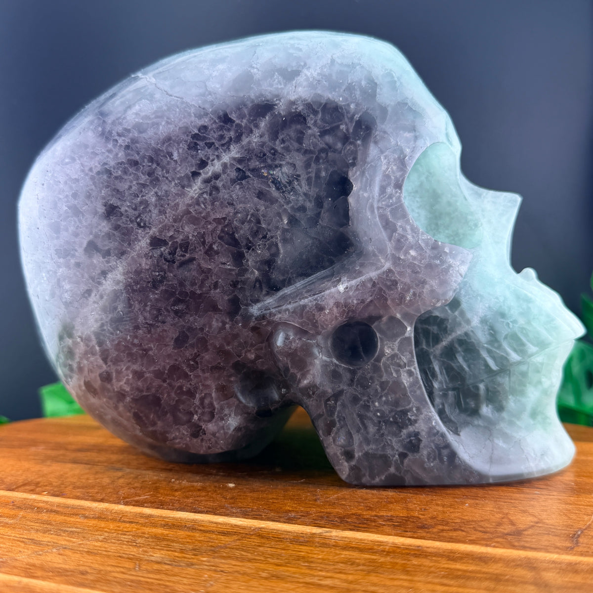 XL Rainbow Fluorite Skull