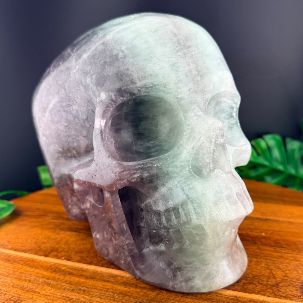 XL Rainbow Fluorite Skull