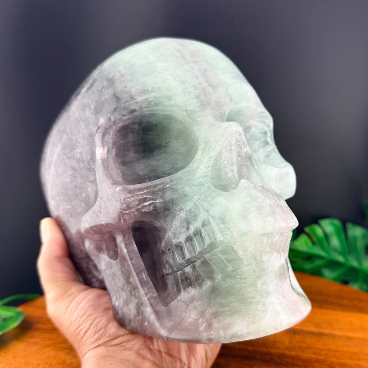 XL Rainbow Fluorite Skull