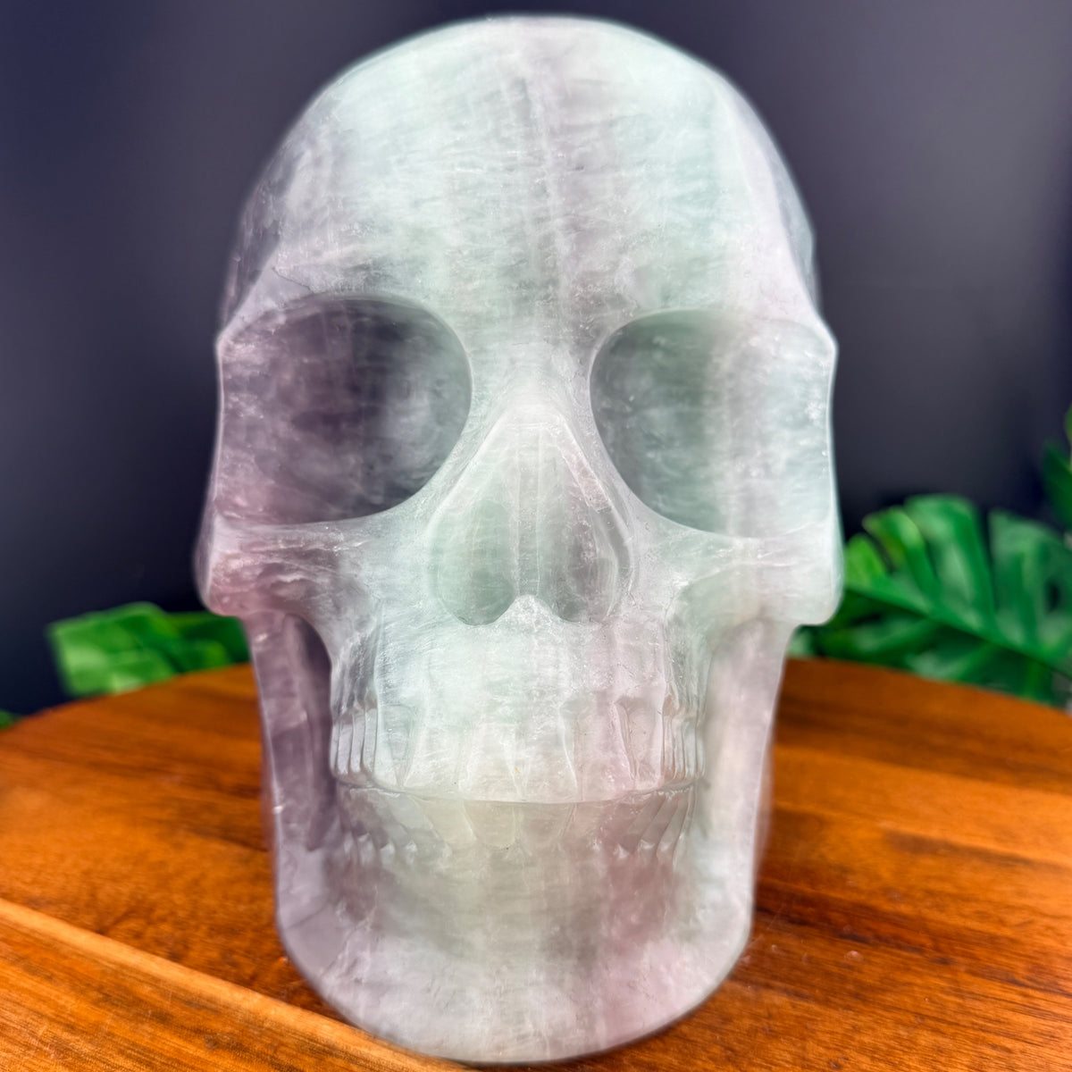 XL Rainbow Fluorite Skull