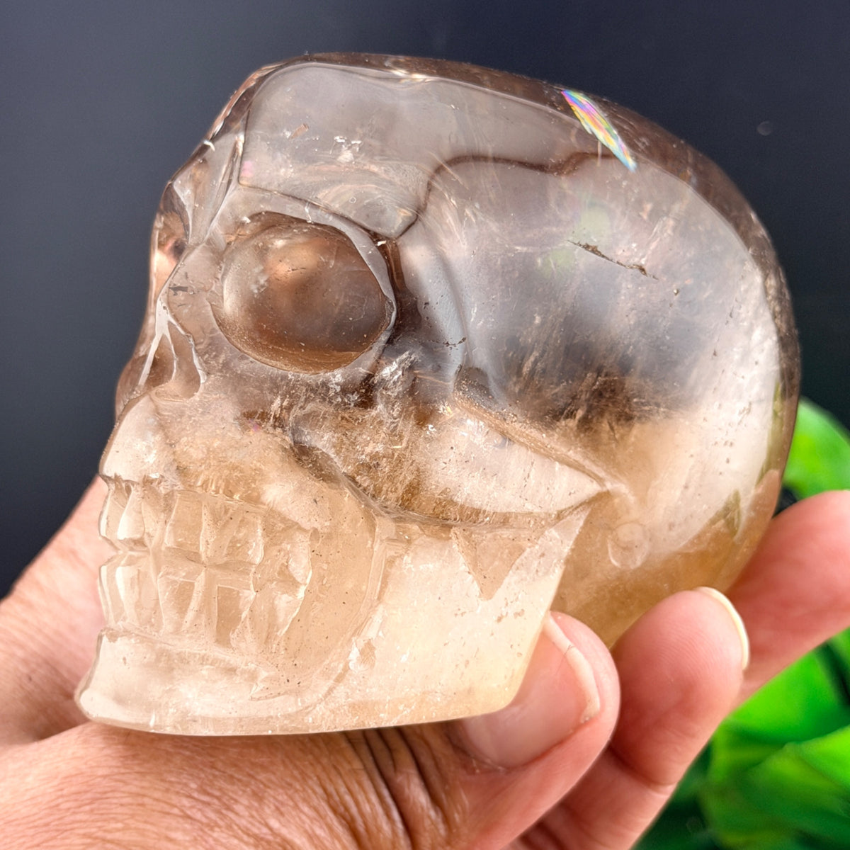 Two Tone Smoky Quartz Skull