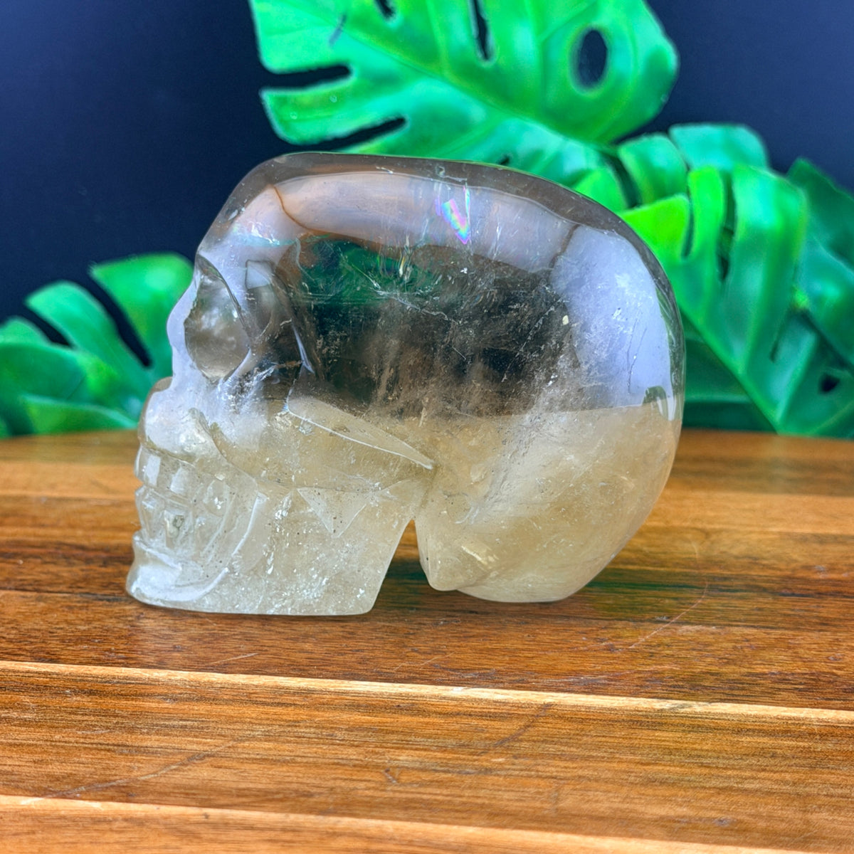 Two Tone Smoky Quartz Skull