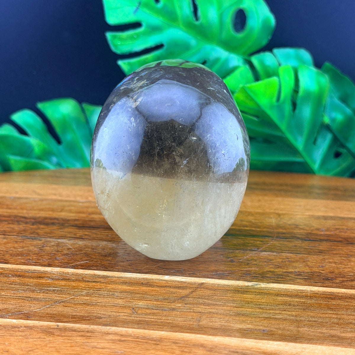 Two Tone Smoky Quartz Skull