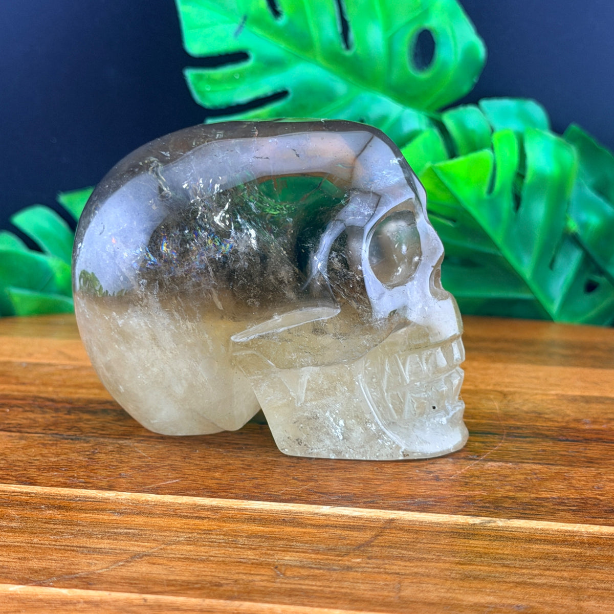 Two Tone Smoky Quartz Skull