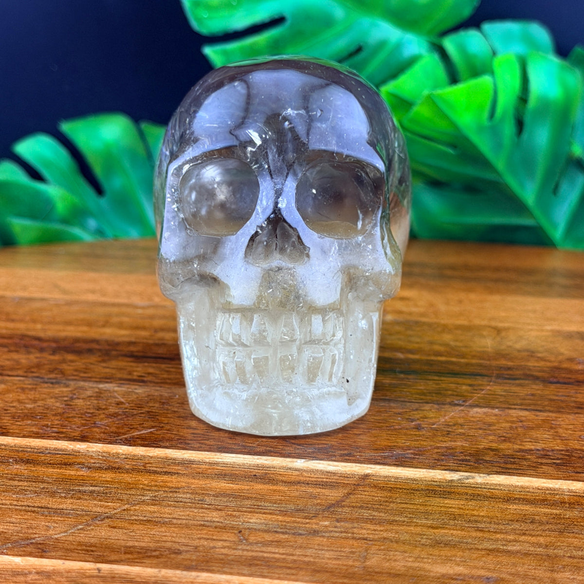 Two Tone Smoky Quartz Skull