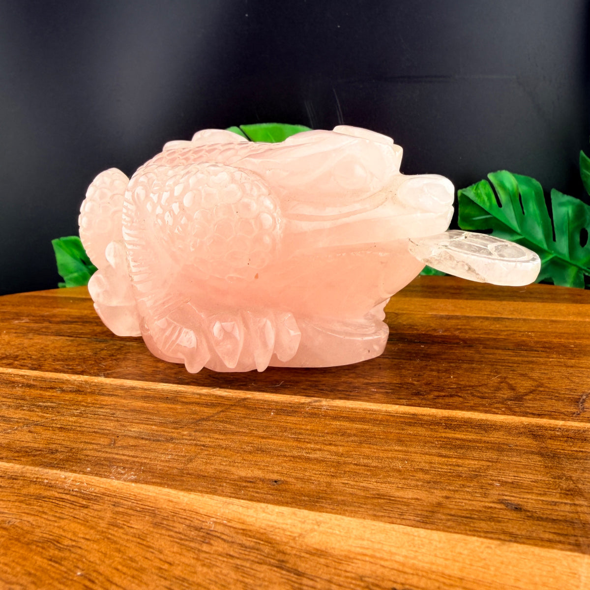 Rose Quartz Money Toad