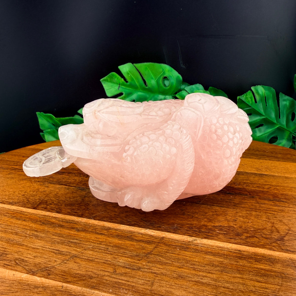 Rose Quartz Money Toad