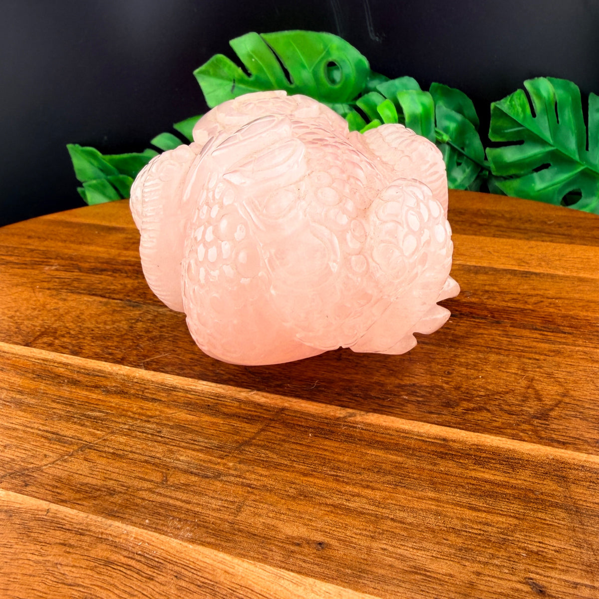 Rose Quartz Money Toad