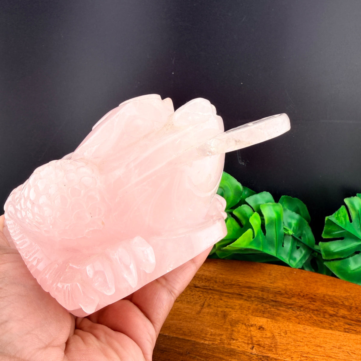 Rose Quartz Money Toad