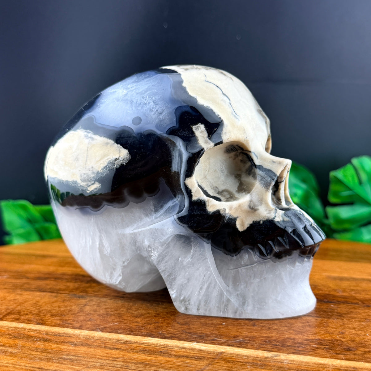 Volcano Agate Skull