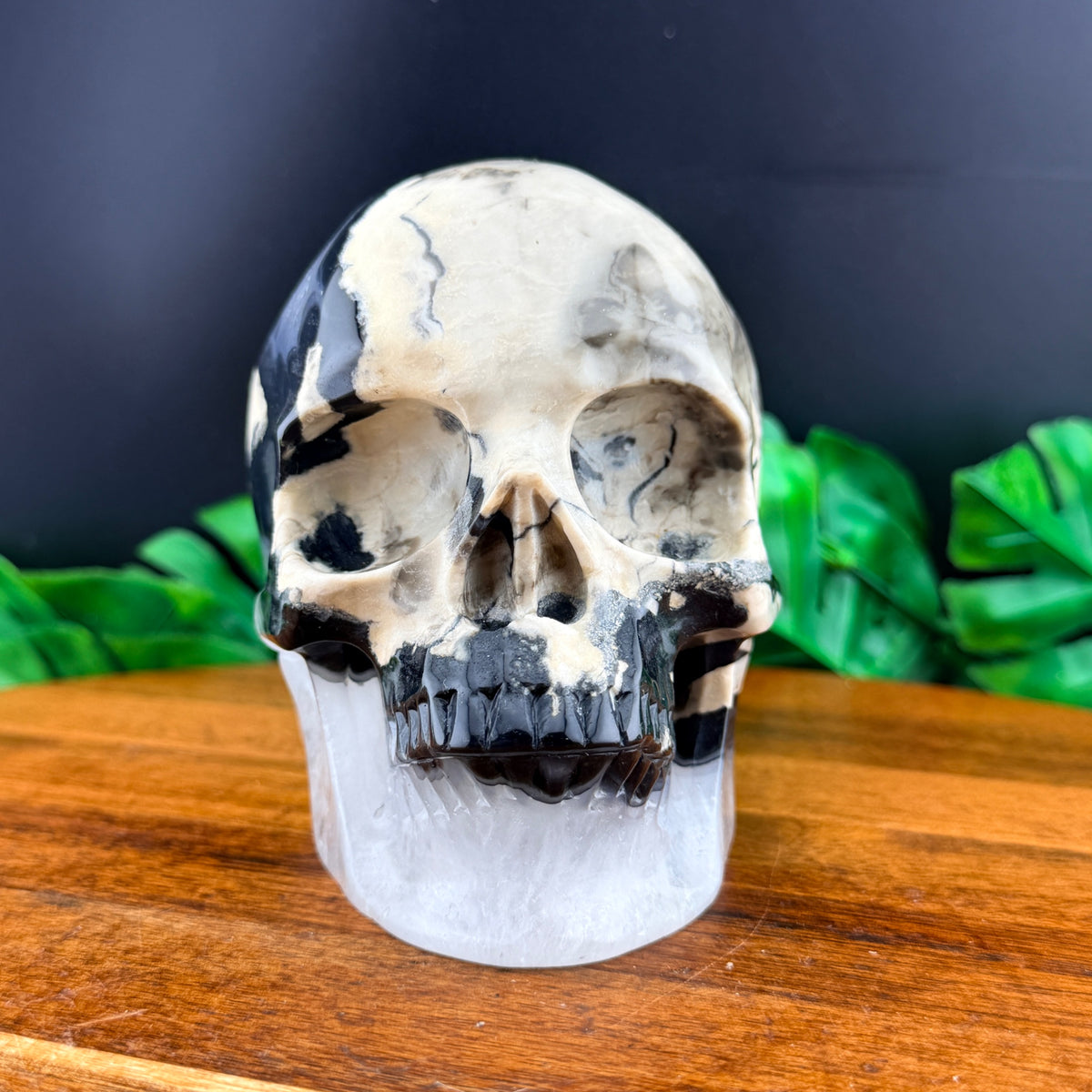 Volcano Agate Skull