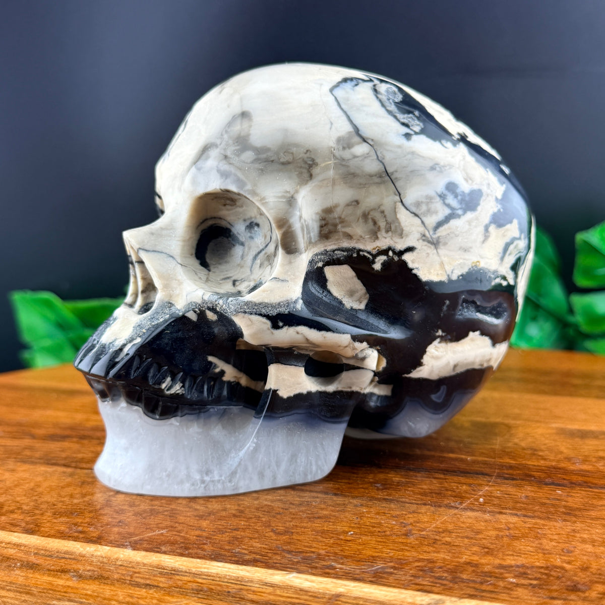 Volcano Agate Skull