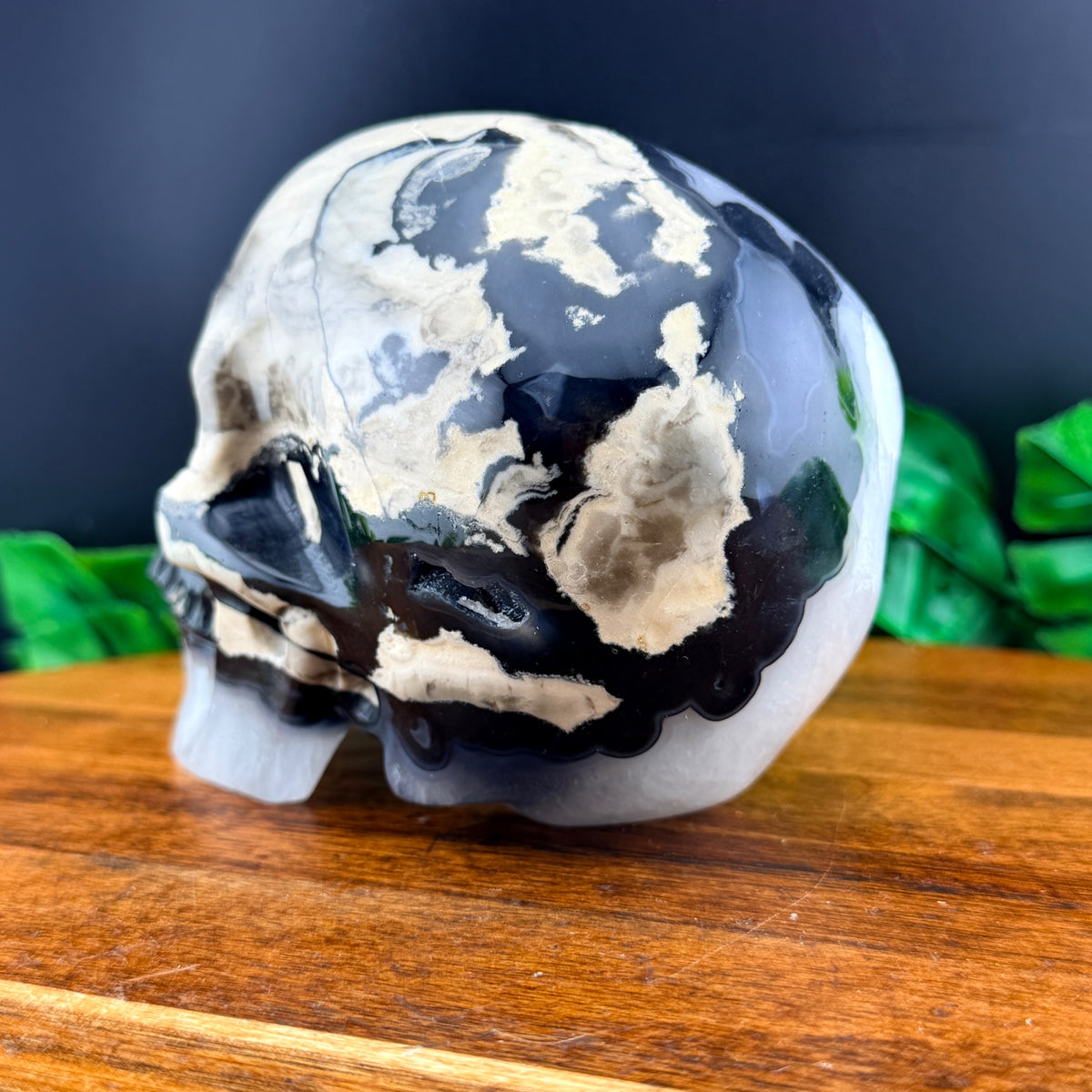 Volcano Agate Skull