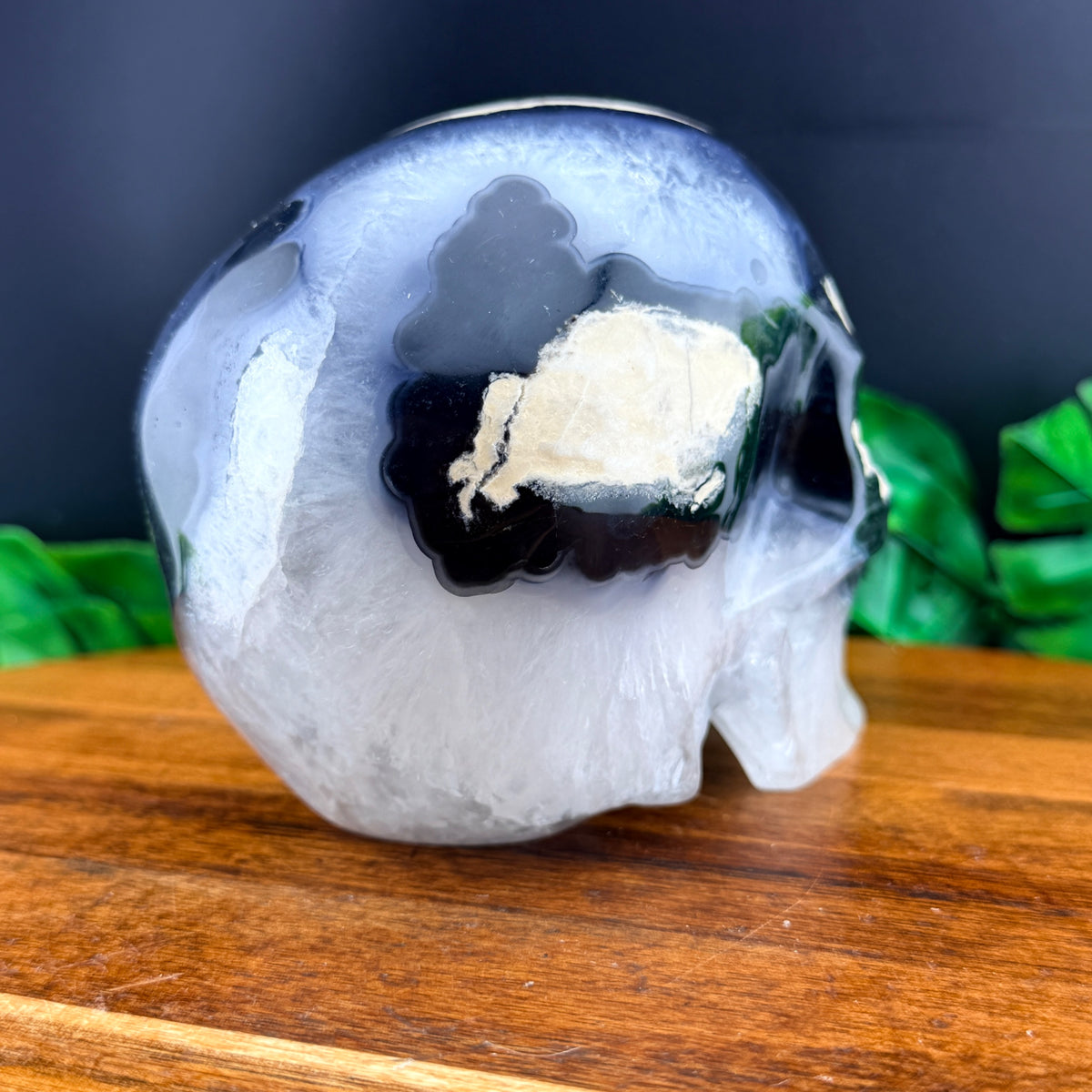 Volcano Agate Skull