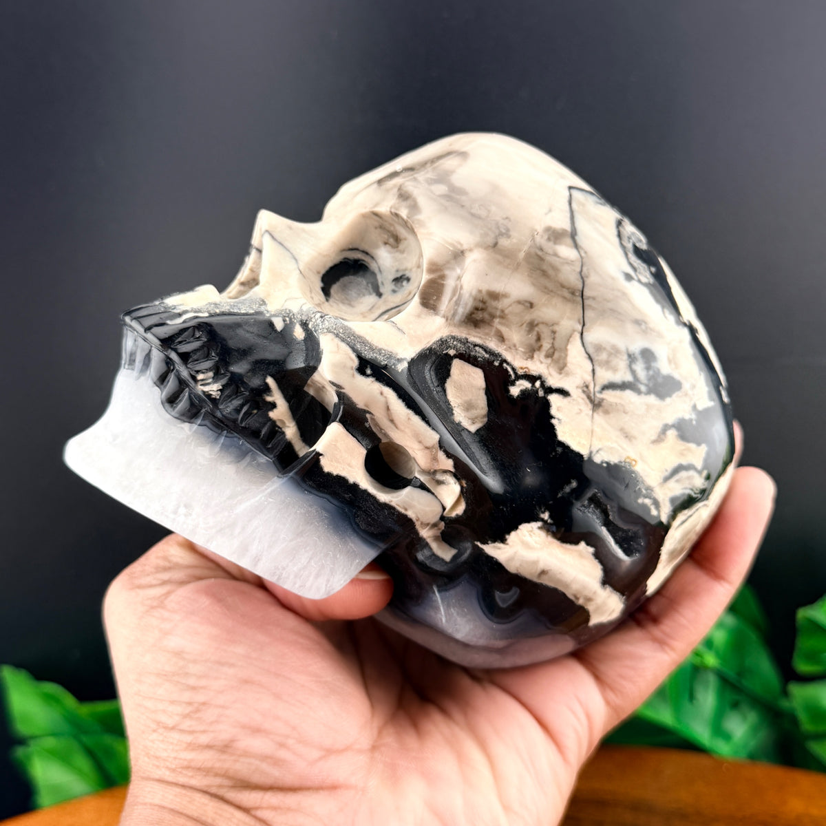 Volcano Agate Skull