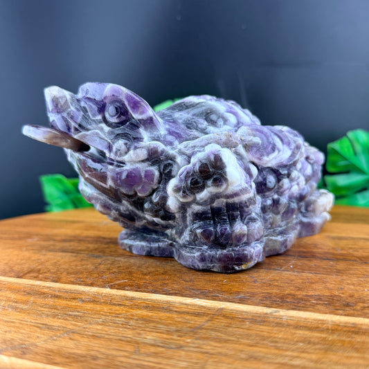Dream Amethyst Money Toad