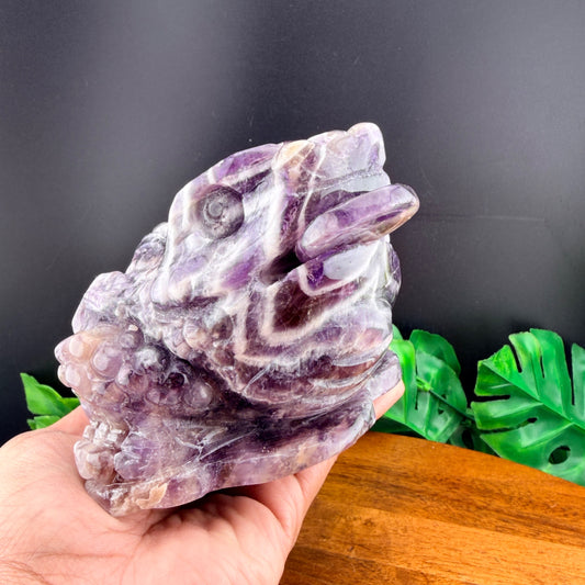 Dream Amethyst Money Toad