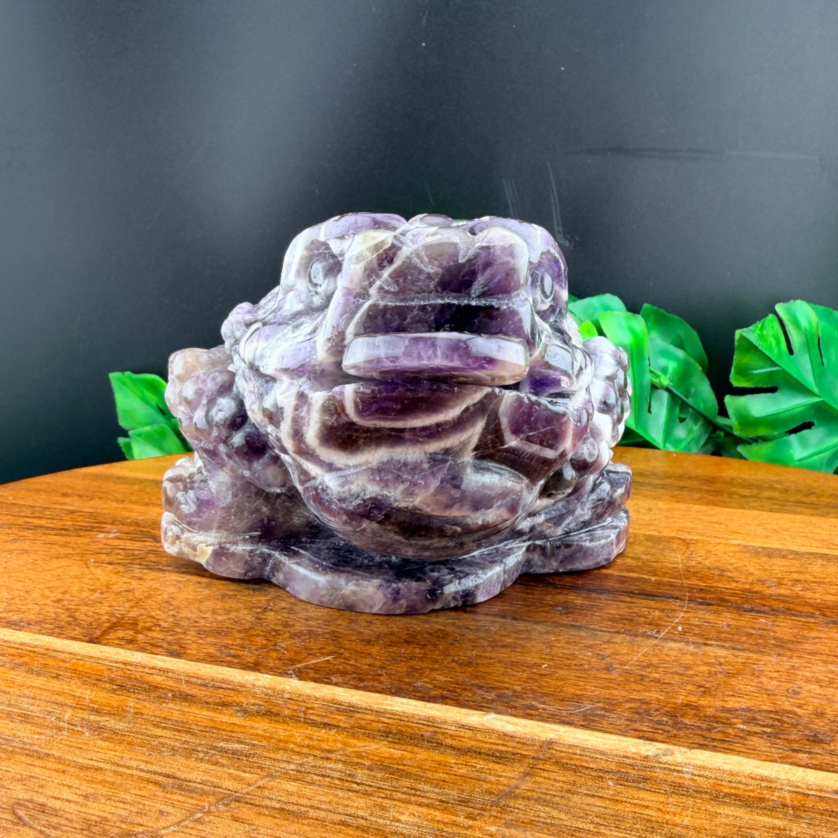 Dream Amethyst Money Toad