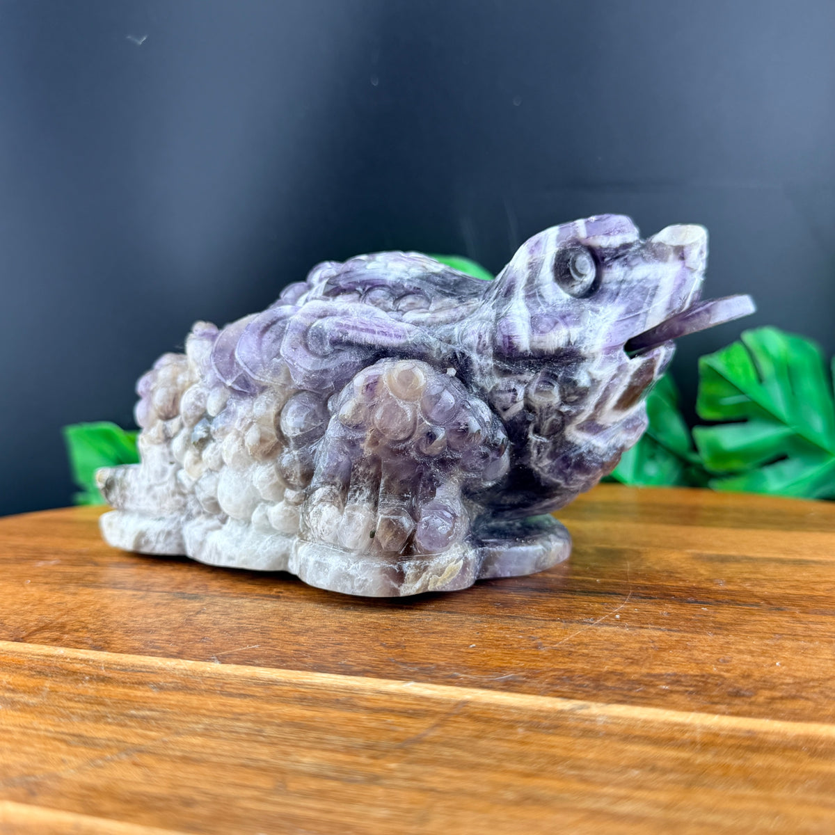 Dream Amethyst Money Toad